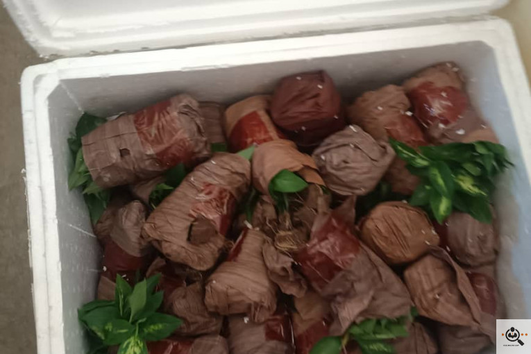 گلسرای آران در مریوان