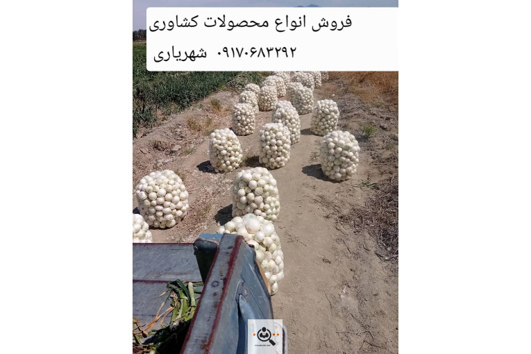 تلفن 09170683292 فروش و صادرات انواع میوه و خشکبار شهریاری