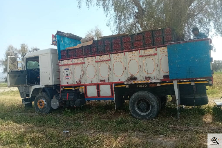 تلفن 09170683292 فروش و صادرات انواع میوه و خشکبار شهریاری