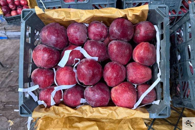 بارفروشی برادران قاسمی در قم