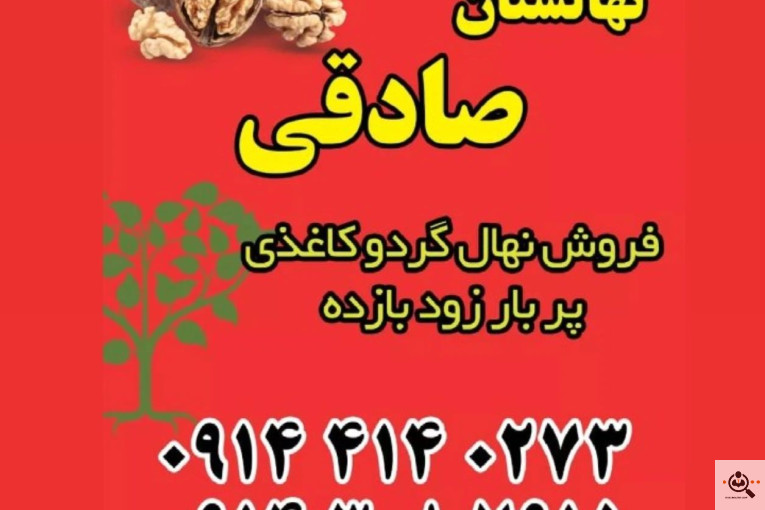 نهالستان گردو کاغذی صادقی در تبریز