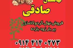 نهالستان گردو کاغذی صادقی در تبریز