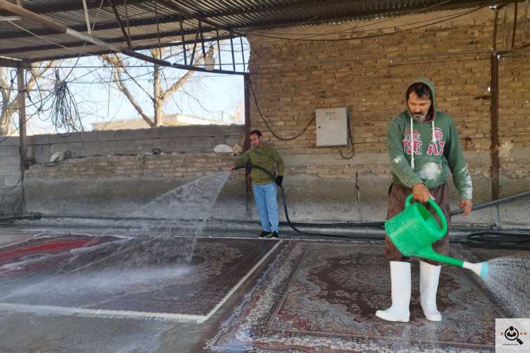 بهترین قالیشویی و مبلشویی در بنفشه کرج