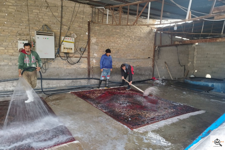 بهترین قالیشویی و مبلشویی در دولت آباد کرج