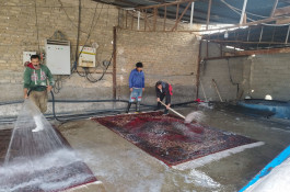 بهترین قالیشویی و مبلشویی در دولت آباد کرج