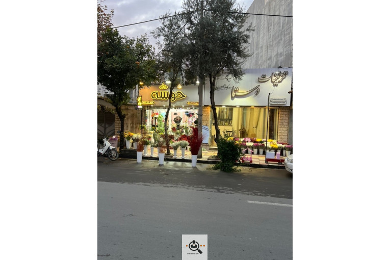 گلسرای خوشه گنبدکاووس