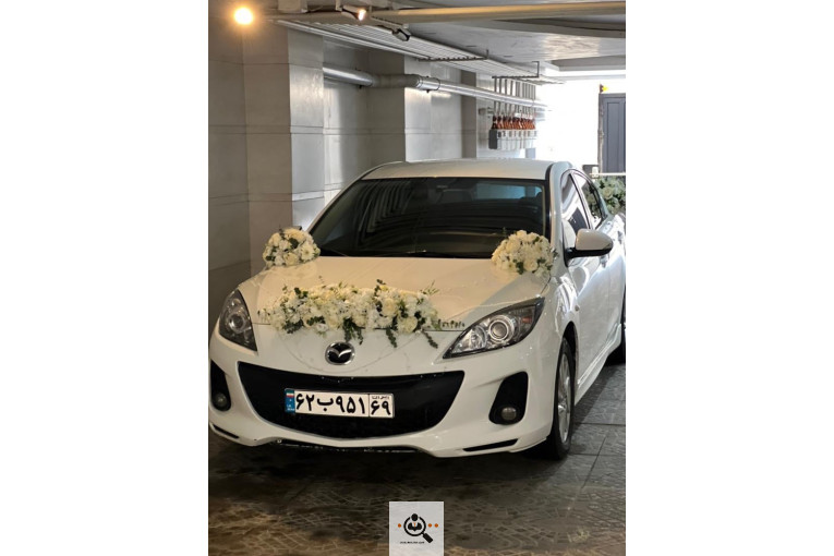 گلسرای خوشه گنبدکاووس