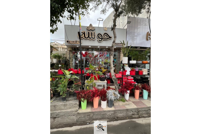 گلسرای خوشه گنبدکاووس