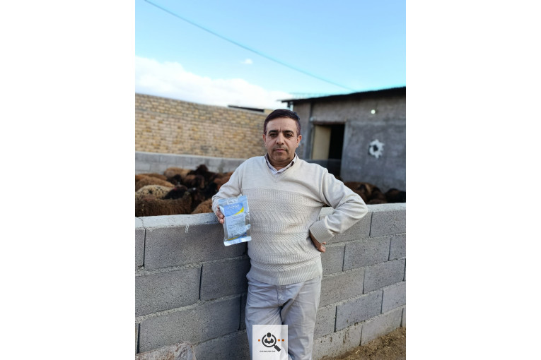 افشار برولا علیاری در زنجان