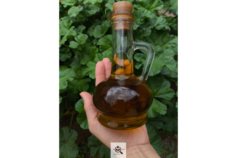 فروش مستقیم زیتون و روغن زیتون ارگانیک طارم در تهران