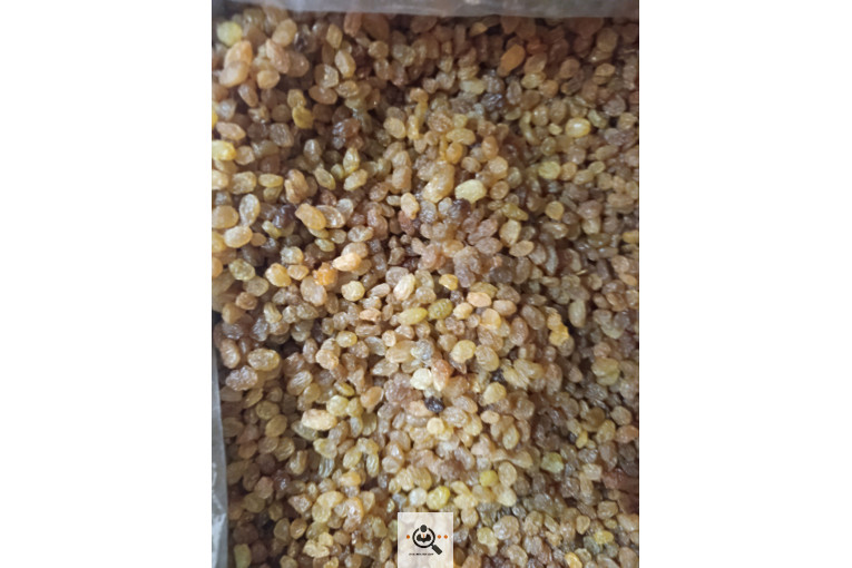 فروش عمده کشمش کردلو در قروه درگزین