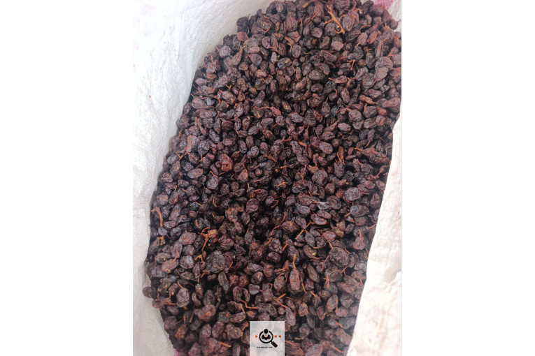 فروش عمده کشمش کردلو در قروه درگزین