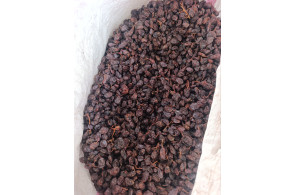 فروش عمده کشمش کردلو در قروه درگزین