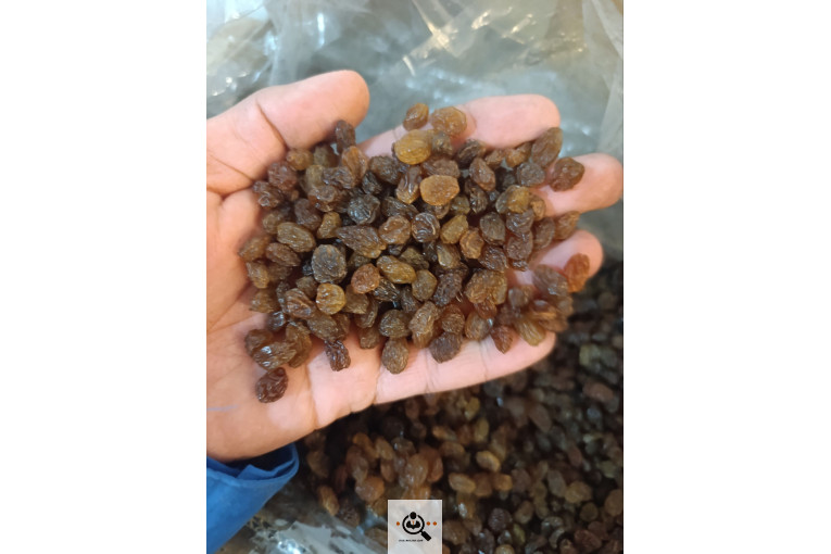 فروش عمده کشمش کردلو در قروه درگزین