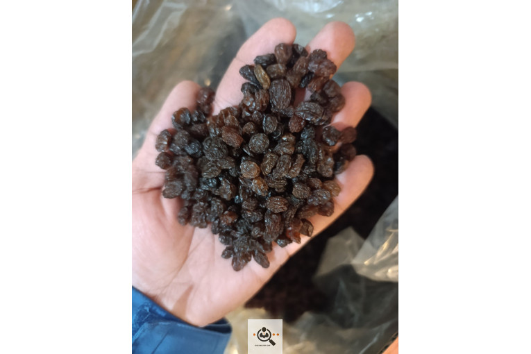 فروش عمده کشمش کردلو در قروه درگزین