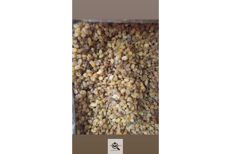 فروش عمده کشمش کردلو در قروه درگزین