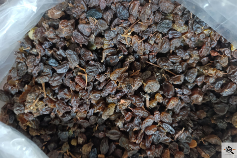 فروش عمده کشمش کردلو در قروه درگزین