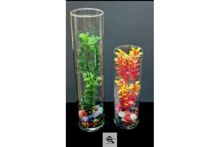 پخش ماهی قرمز بروجرد در بروجرد