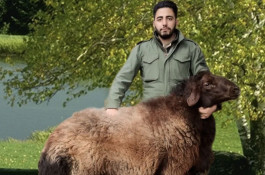 خرید و فروش احشام بهزاد رجبی در زنجان