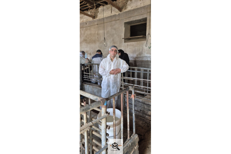 خرید و فروش احشام بهزاد رجبی در زنجان