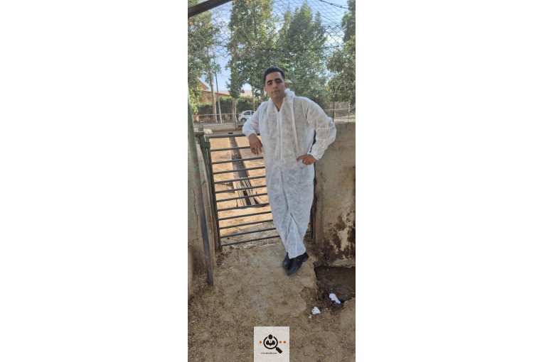 خرید و فروش احشام بهزاد رجبی در زنجان