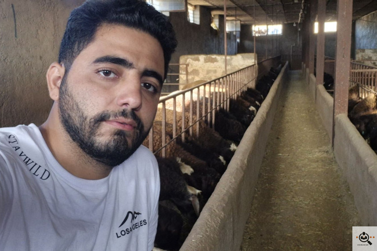 خرید و فروش احشام بهزاد رجبی در زنجان