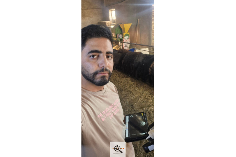 خرید و فروش احشام بهزاد رجبی در زنجان