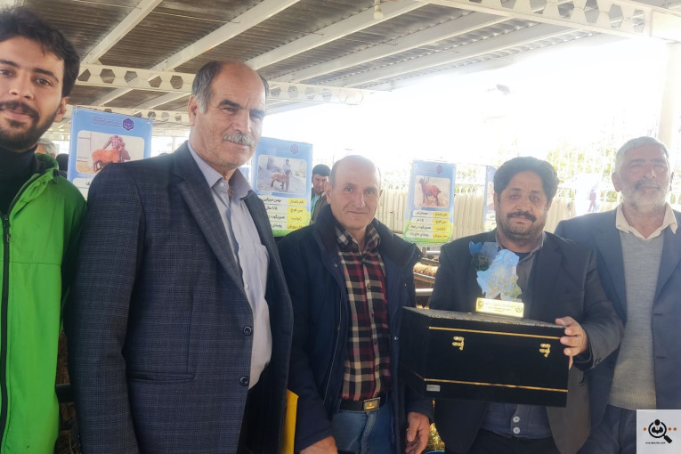 خرید و فروش احشام بهزاد رجبی در زنجان