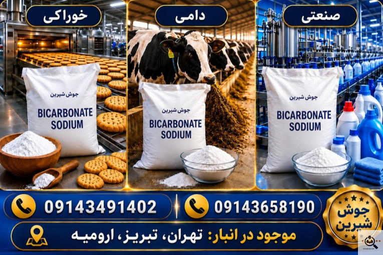 بی کربنات سدیم (جوش شیرین) و سودکاستیک (سدیم هیدروکسید) | معرفی و کاربرد و خرید