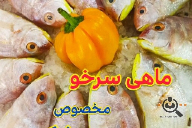 بازار ماهی بلوچ در اصفهان