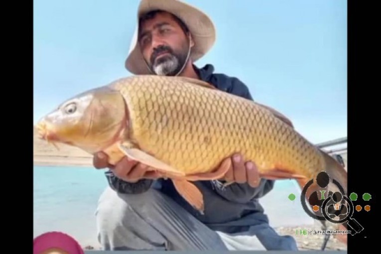 آموزش ماهیگیری حرفه ای Go fishing در اصفهان